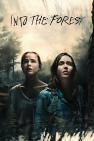 Into the Forest (2015)