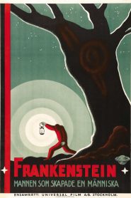 Frankenstein (1931) – Frankenstein mannen som skapade en människa (1931)