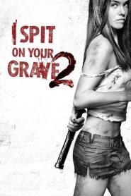 I Spit on Your Grave 2 (2013)