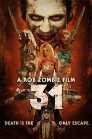 31 (2016)
