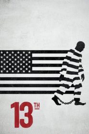 13th (2016) – Det 13:e tillägget (2016)
