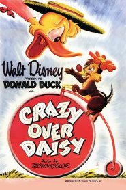 Kalle Anka på friarstråt – Crazy over Daisy